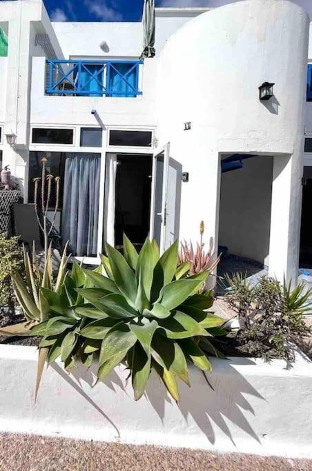 17 Puerto Del Carmen Bluesharkアパートメント エクステリア 写真